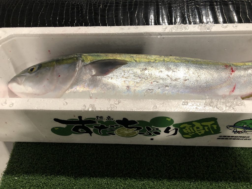 スダチ鰤 馬地鮮魚株式会社